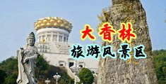 骚货流水高潮免费国产在线观看中国浙江-绍兴大香林旅游风景区
